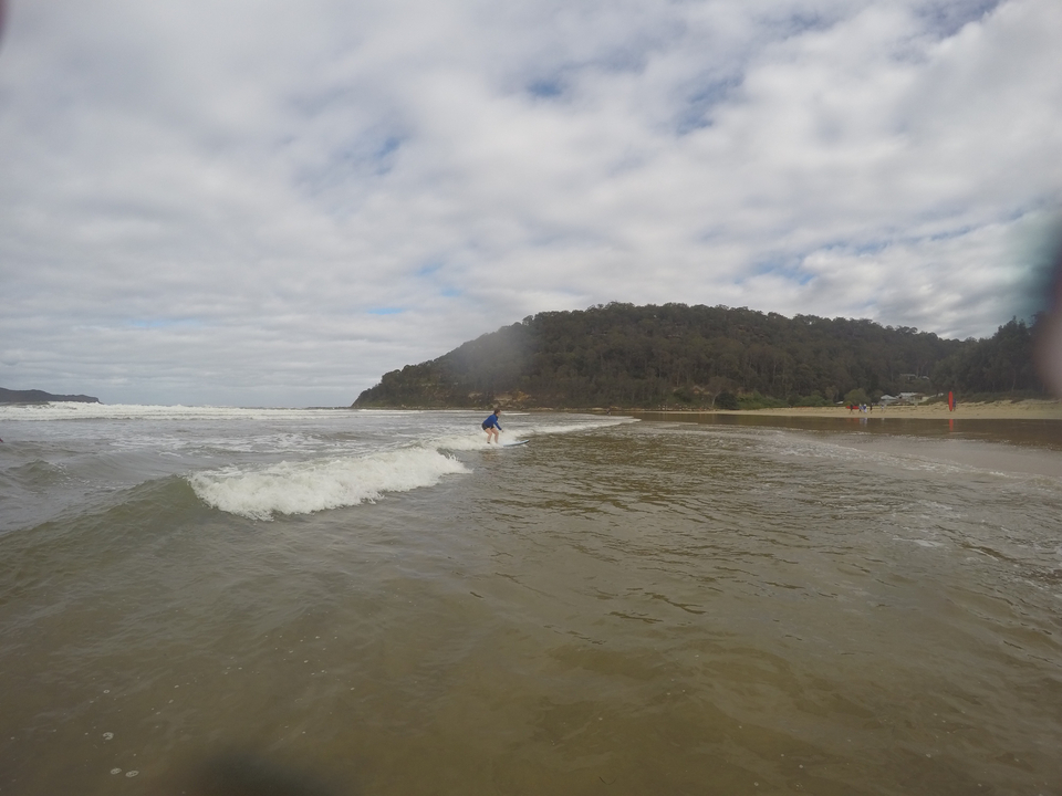 Person surfing on gentle waves near a forested coastline.