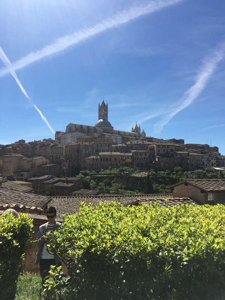 Vue majestueuse des bâtiments historiques de Sienne dans un ciel bleu clair.