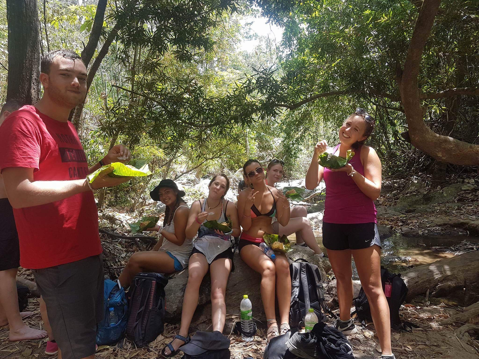Group enjoying a picnic in a forest setting.