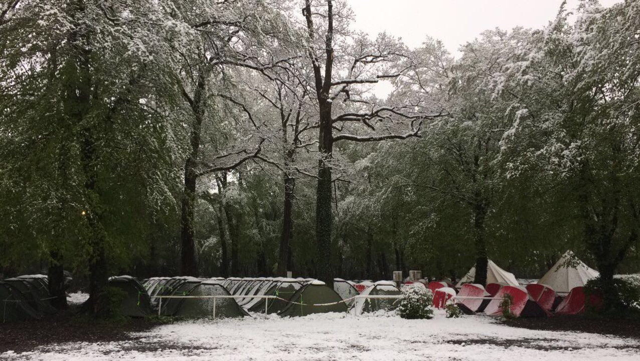Tentes dans une forêt avec de la neige au sol.