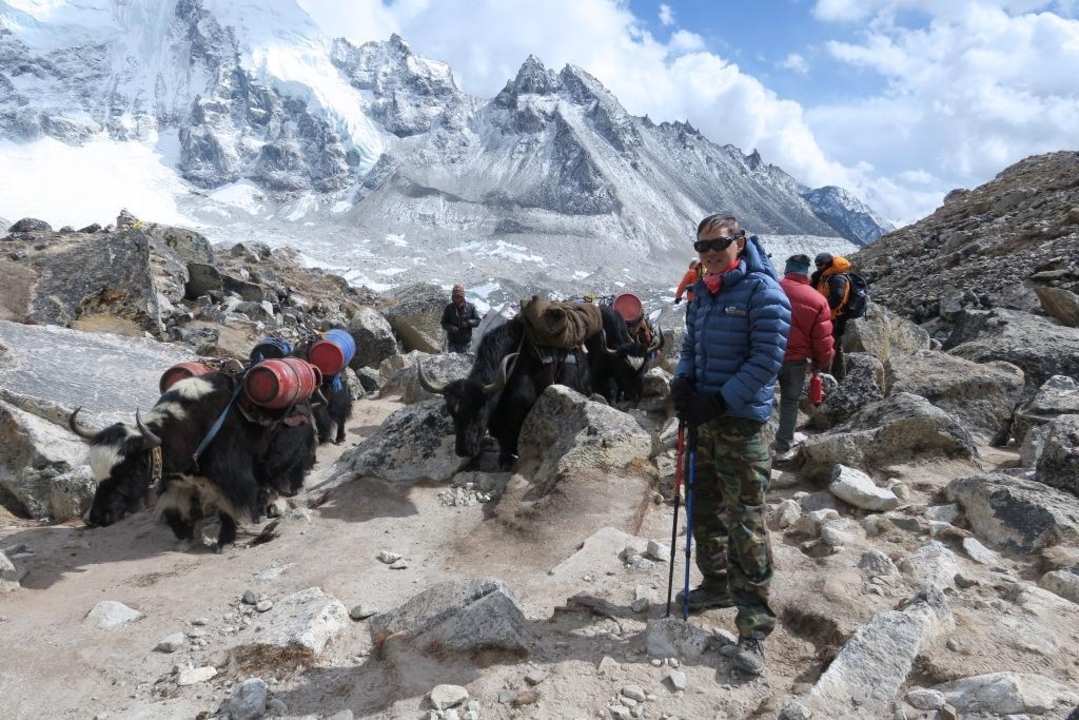 Person trekking with yaks through a mountain pass.