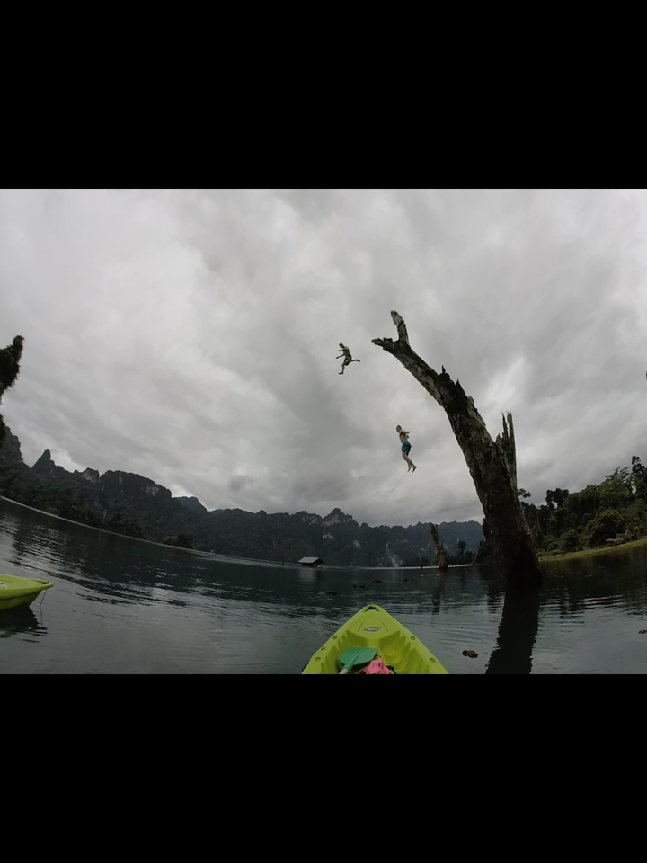 People jumping from a tree into a lake surrounded by mountains.