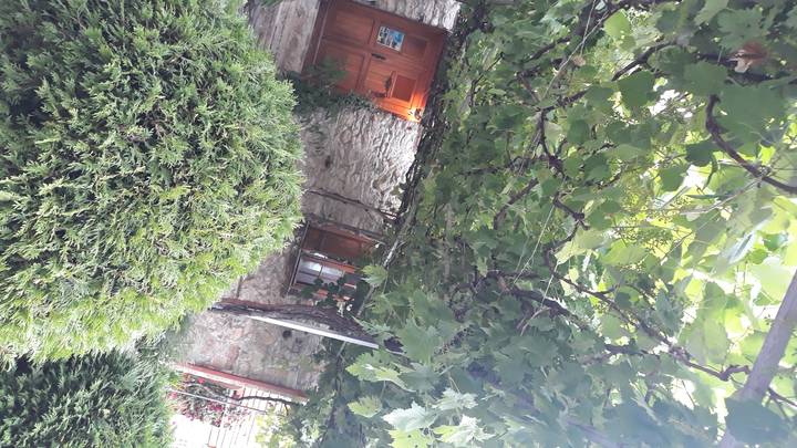 Cottage en pierre avec des portes en bois partiellement cachées par des feuilles.