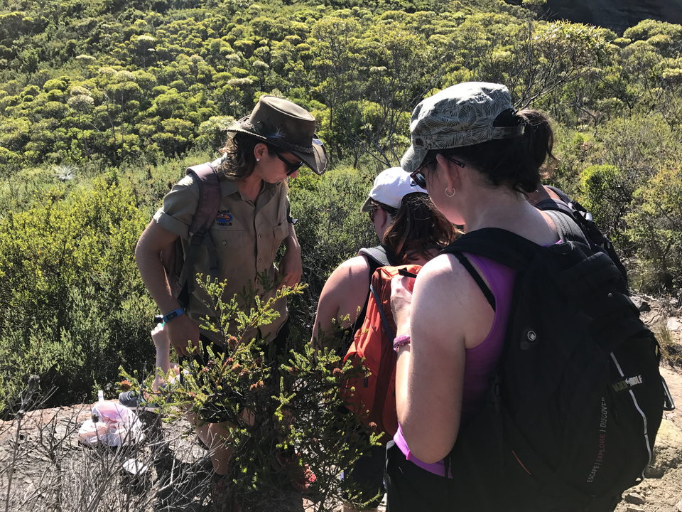Guide in a bush hat briefs hikers among dense native shrubland during a sunny trek.