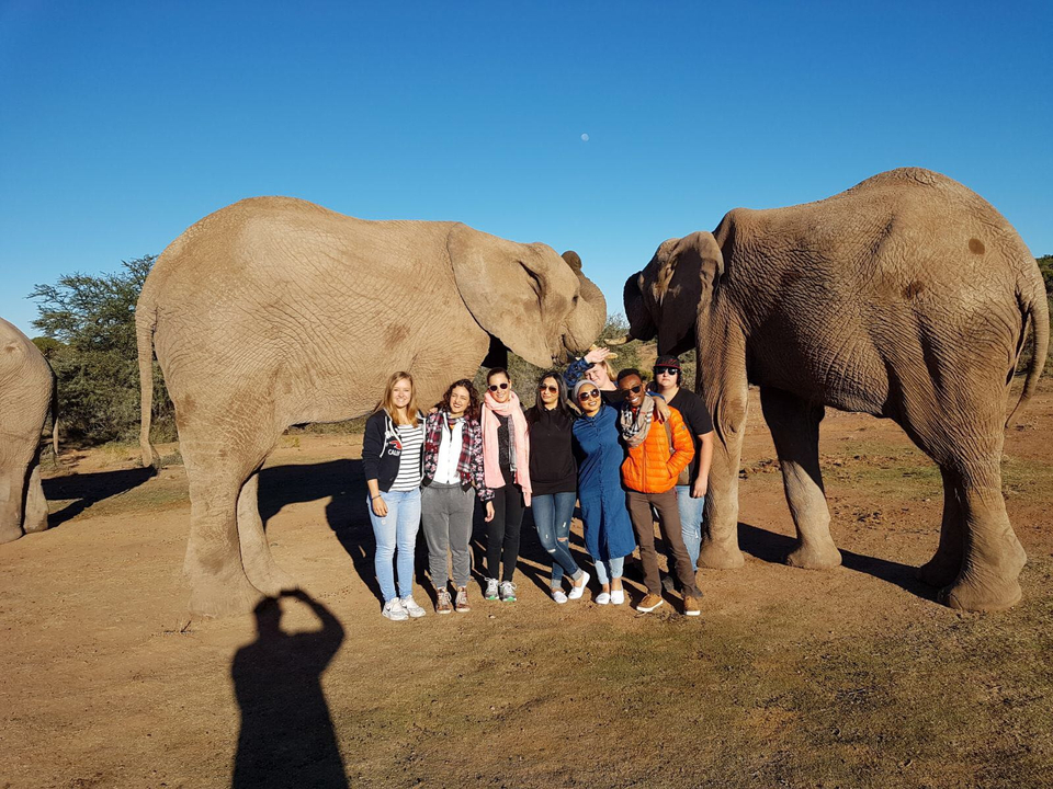 Groupe de touristes posant avec des éléphants sous un ciel dégagé.