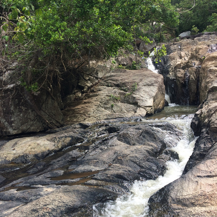 Water cascading over rocks in a dense forested area.