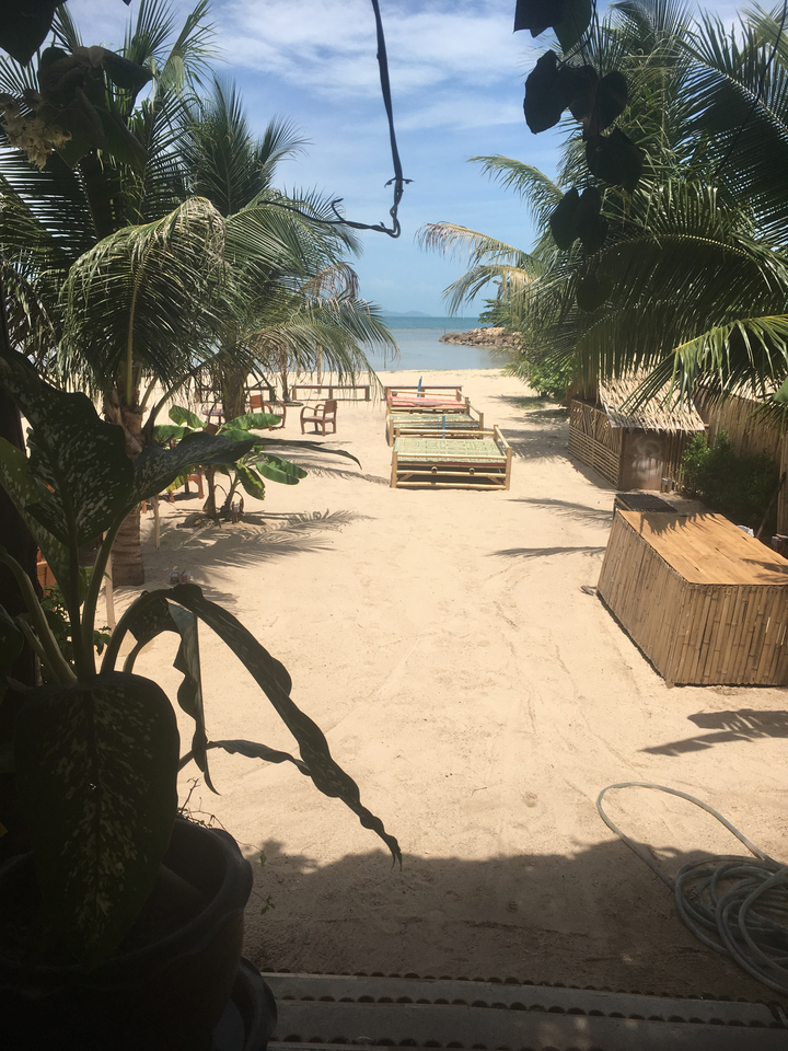 Beach with sun loungers and palm trees.