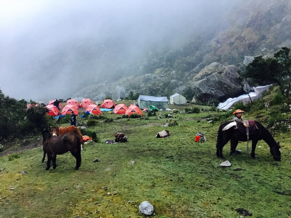 Camping avec tentes colorées et chevaux dans un cadre montagneux brumeux.