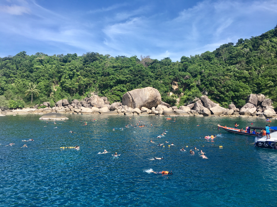People swimming near a boat in a calm blue sea surrounded by greenery.