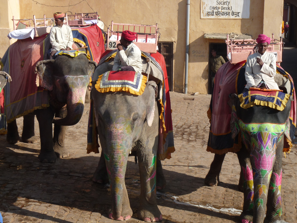 Éléphants décorés avec des soigneurs en tenue traditionnelle.