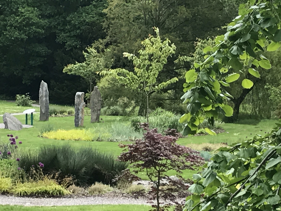 Cercle de pierres dans un jardin verdoyant.