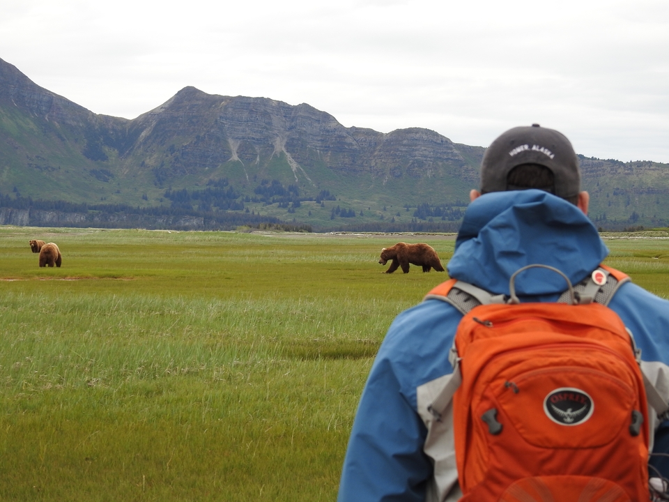 Personne avec des ours dans une prairie