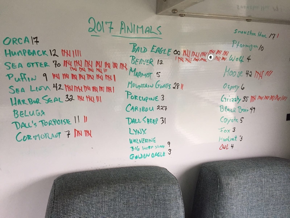 Tableau blanc avec liste des animaux observés