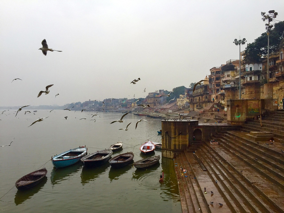 Vue de bateaux amarrés le long d'une rive avec des oiseaux volant au-dessus de la tête.