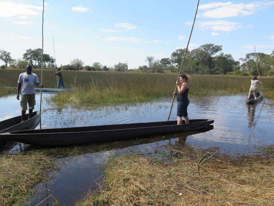 Des personnes font du canoë à travers des nénuphars.