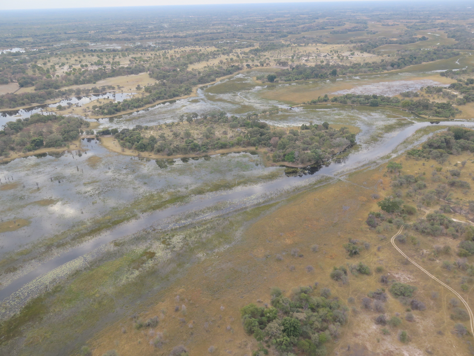 Vue aérienne de zones humides avec des cours d'eau.