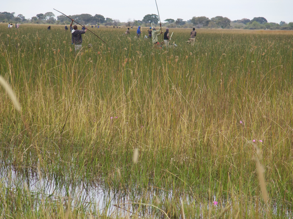 Scène extérieure avec des personnes dans les hautes herbes.