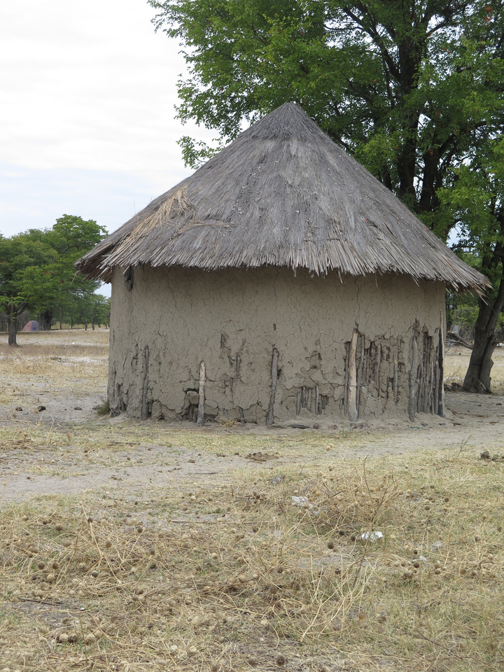 Gros plan d'une hutte ronde traditionnelle au toit de chaume.