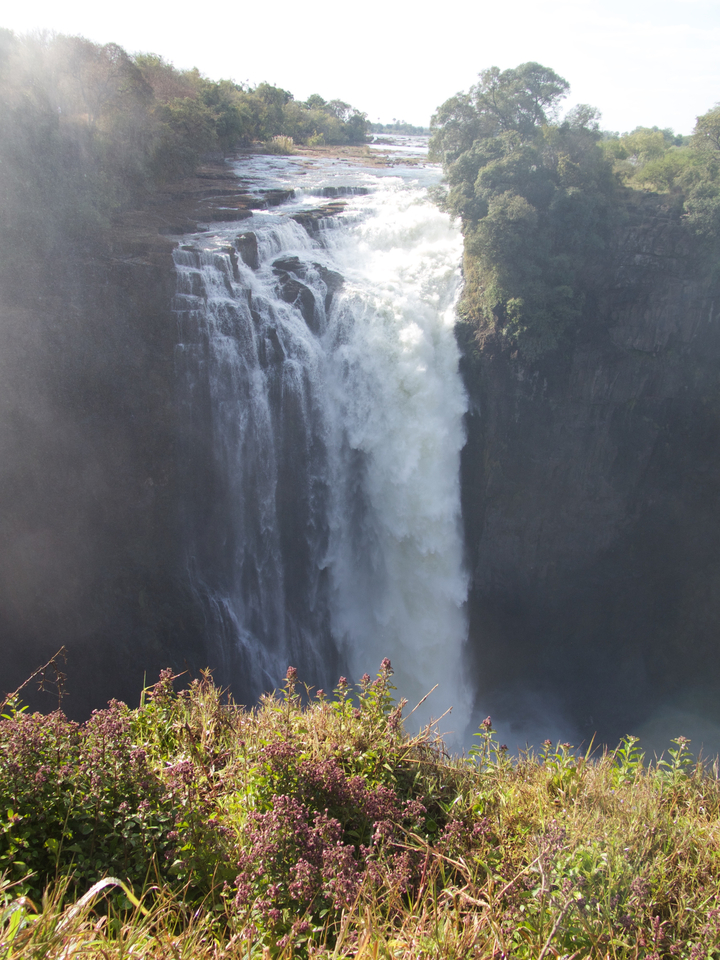 Vue frontale des chutes Victoria avec brume et verdure.