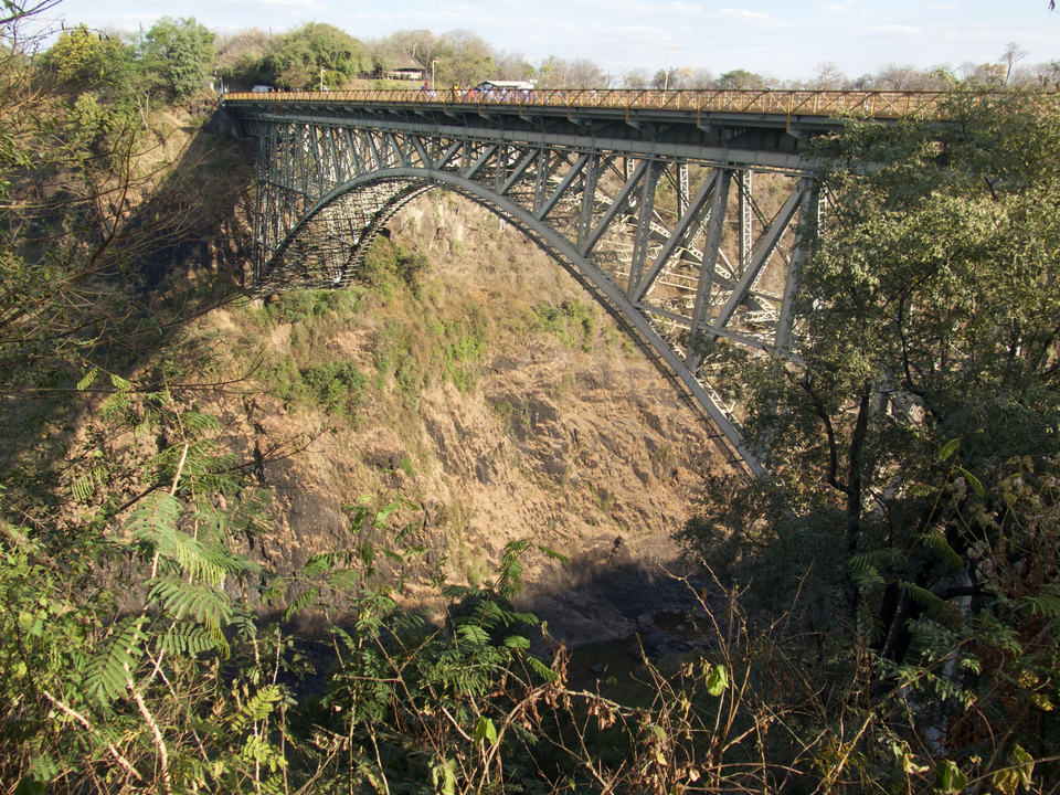 Un pont au-dessus d'un canyon entouré d'arbres.