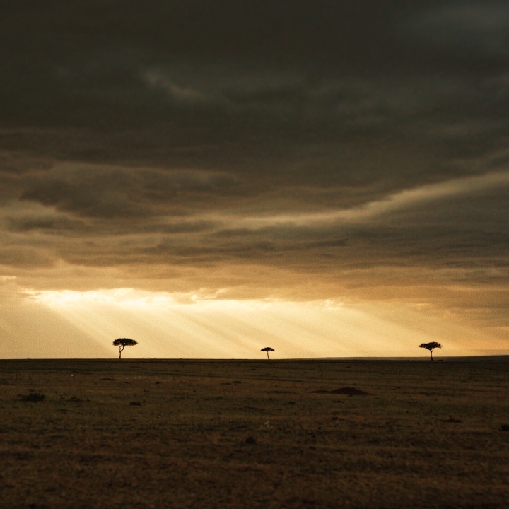 Vaste savane avec des acacias sous des cieux spectaculaires.