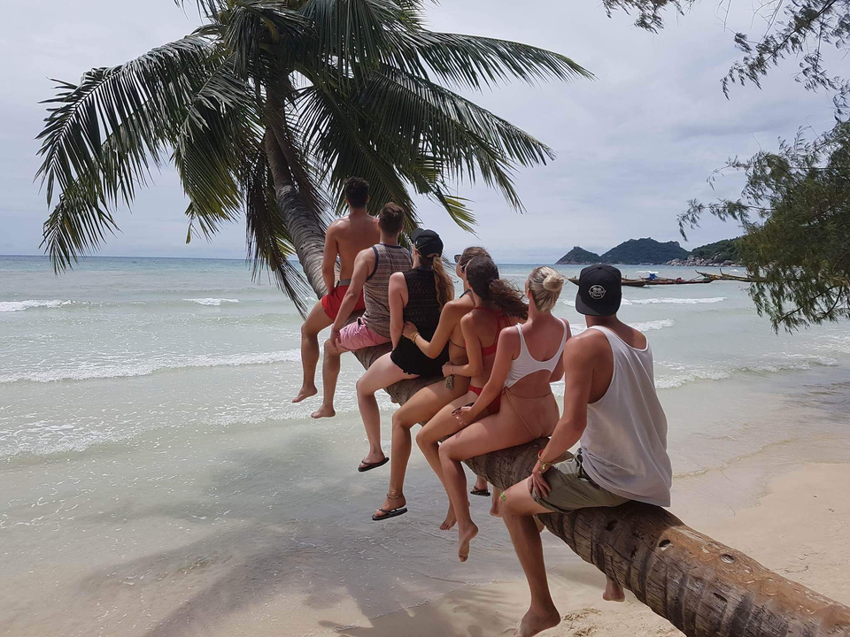 Six travellers perched on a fallen palm trunk looking out to sea on a tropical shore.
