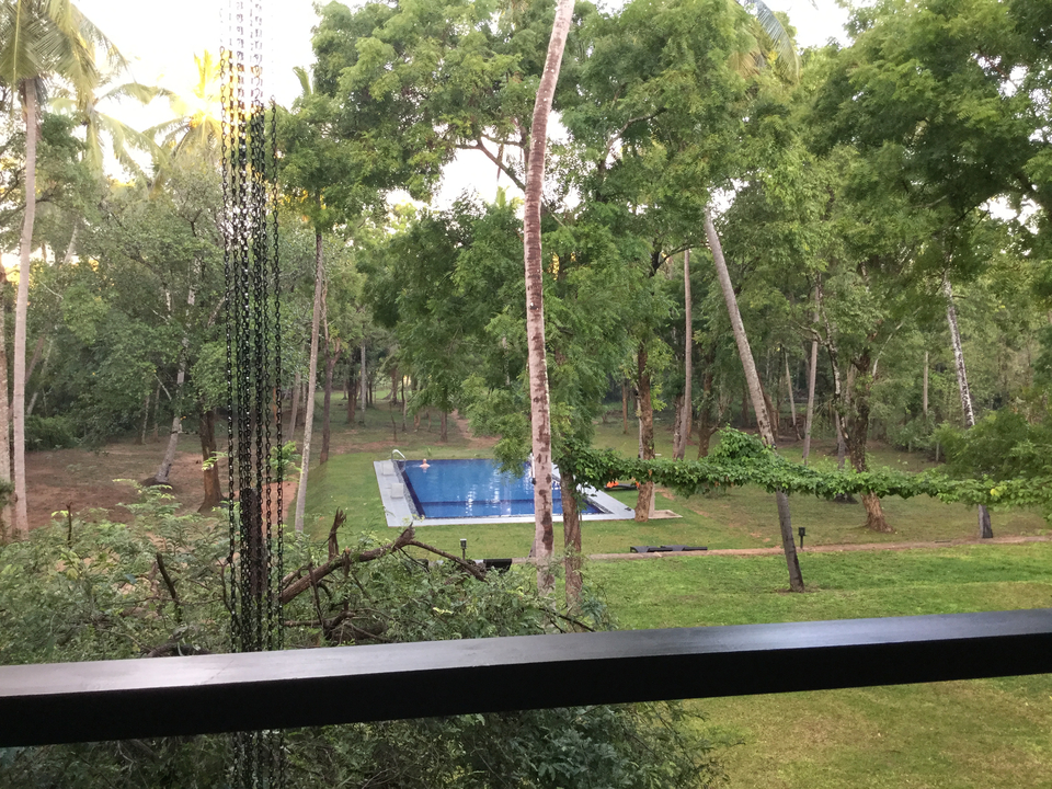 View from a window overlooking a swimming pool and garden.