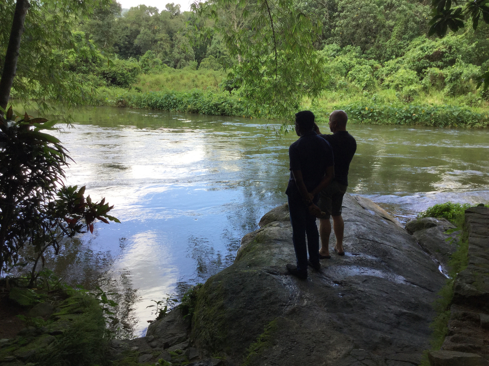 Two people standing by a river in a forest.
