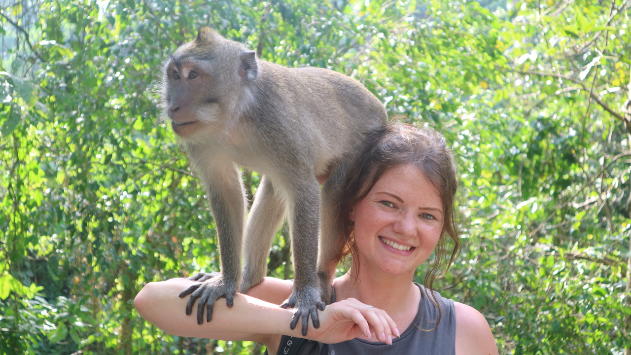 Monkey sitting on a person's shoulder in a green setting.