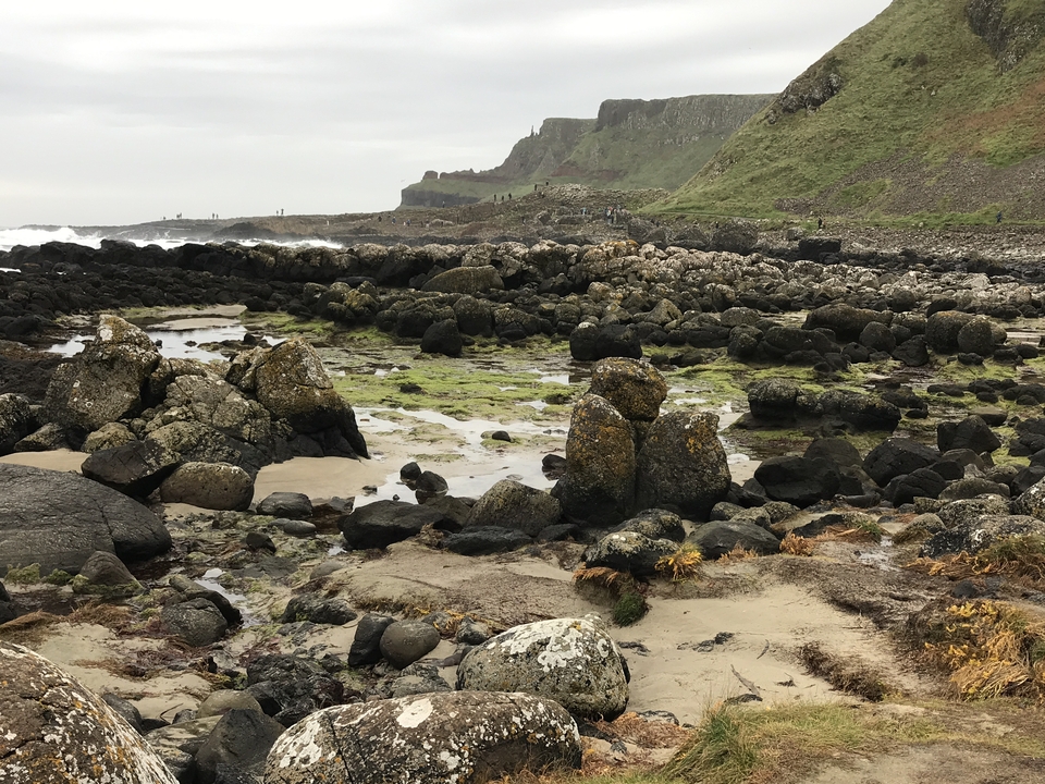 Rivage rocheux avec mousse et verdure.