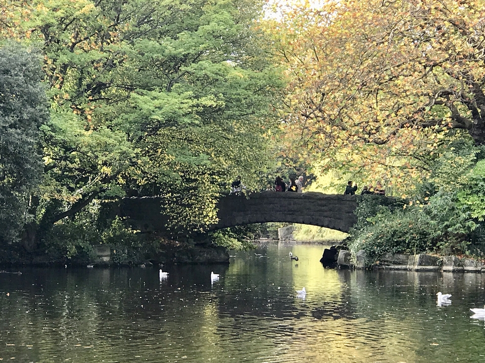 Pont en pierre au-dessus d'un étang dans un parc.