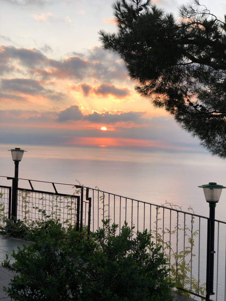 Coucher de soleil pittoresque sur l'océan avec des silhouettes d'arbres.
