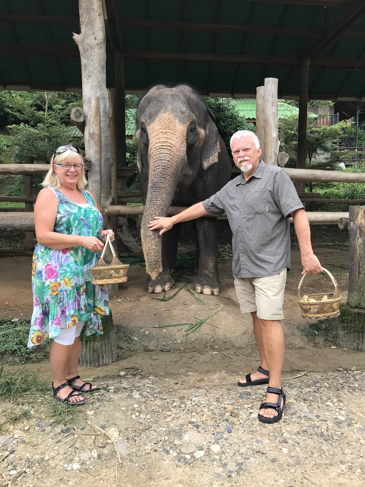 Couple nourrissant un éléphant dans une réserve.