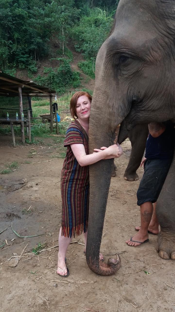 Personne étreignant la jambe d'un éléphant en plein air.