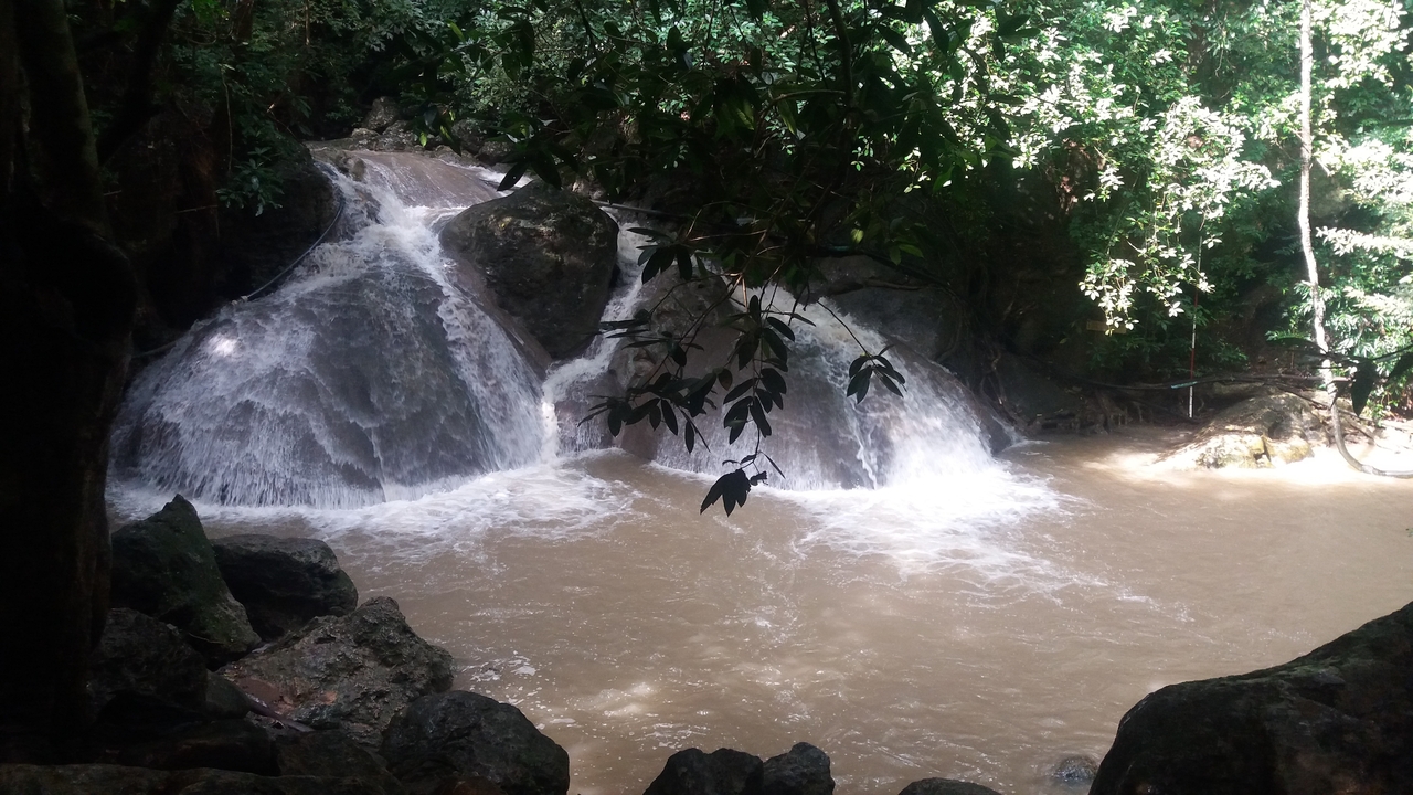 Petite cascade entourée de rochers et de verdure luxuriante.