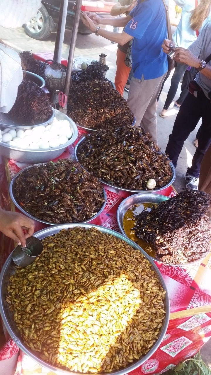 Divers insectes frits présentés dans des plateaux métalliques sur un marché.