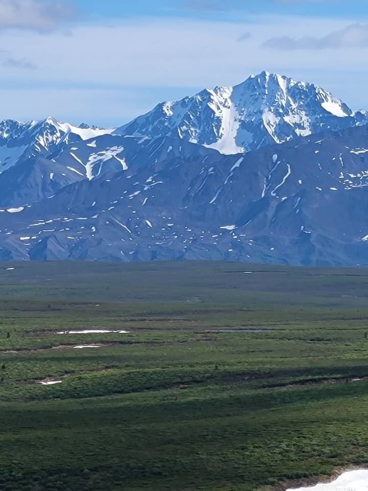 Montagne enneigée avec de la végétation au premier plan.