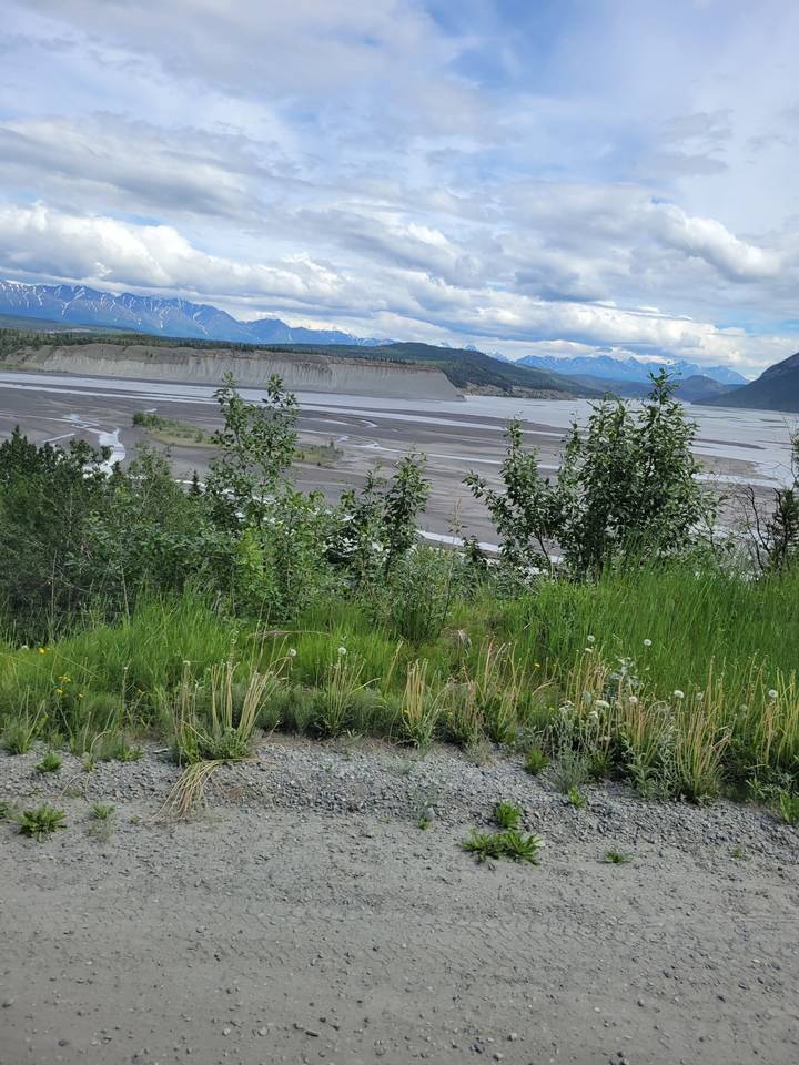 Sentier de gravier et végétation luxuriante avec vue sur l'eau au loin.