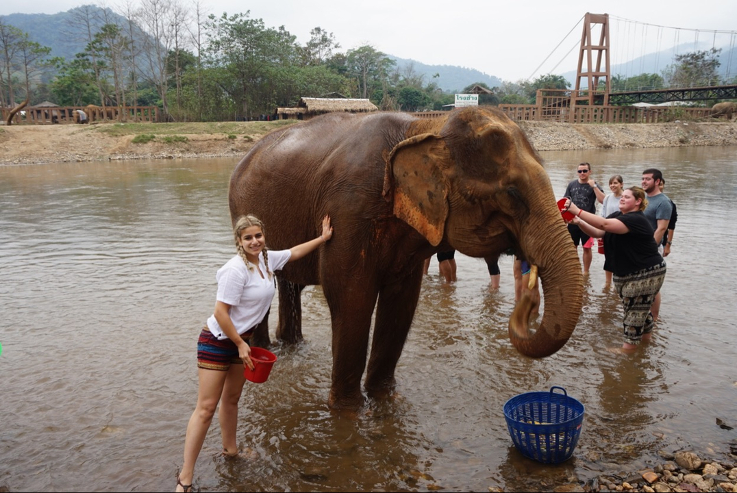 Des personnes interagissent avec un éléphant dans une rivière.