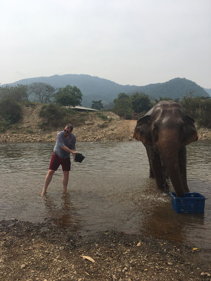 Homme interagissant avec un éléphant dans une rivière.