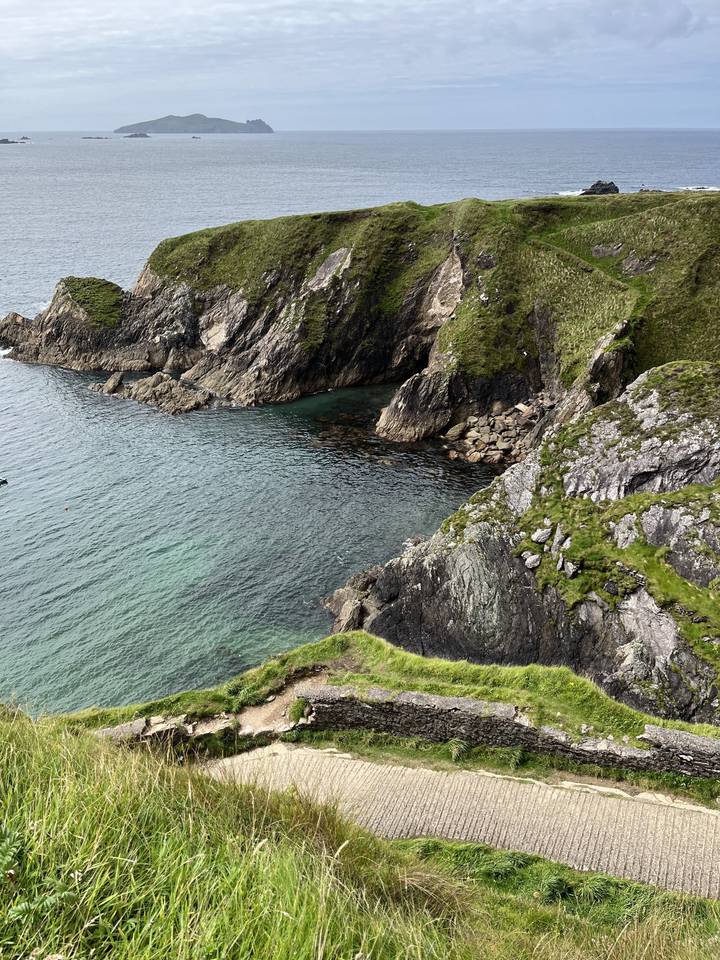 Coastline with rocky cliffs and green grass