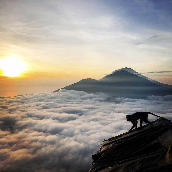 Silhouette of a monkey on a mountain with clouds and sunrise.