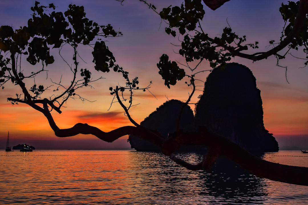 Scenic sunset view over a bay with silhouetted trees.