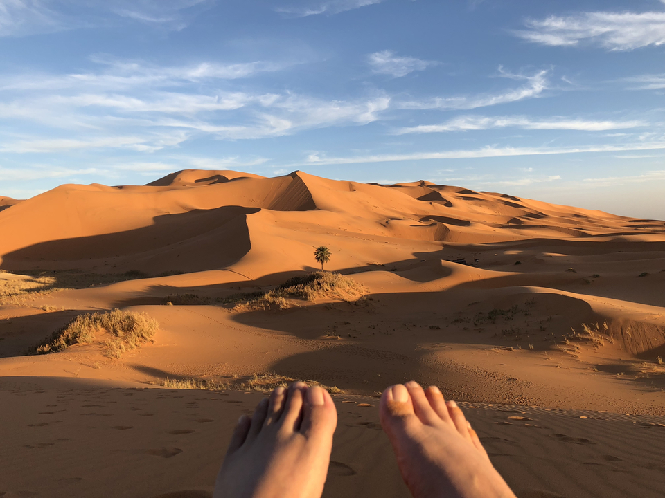 Desert landscape with sand dunes at sunset.