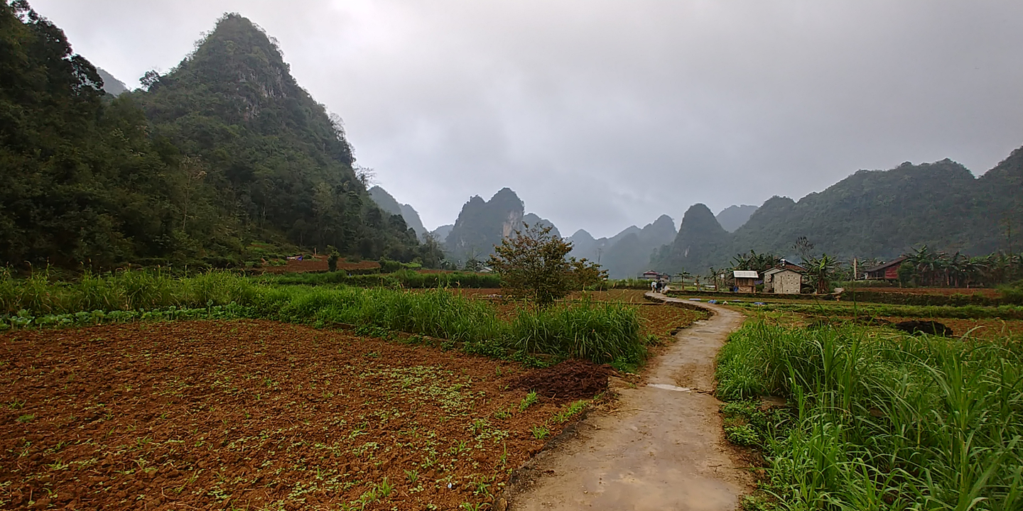 Un paysage rural avec des champs et des montagnes.