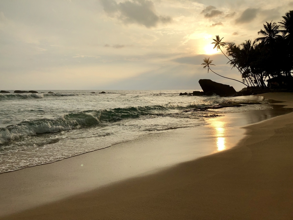 Vue d'une plage au coucher du soleil avec des palmiers et des vagues déferlantes.