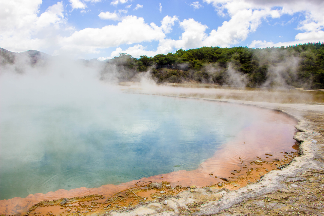 Piscine géothermique à vapeur entourée d'arbres.