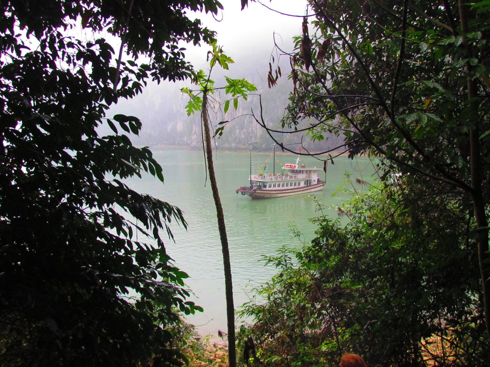 Boat on a misty lake surrounded by trees.