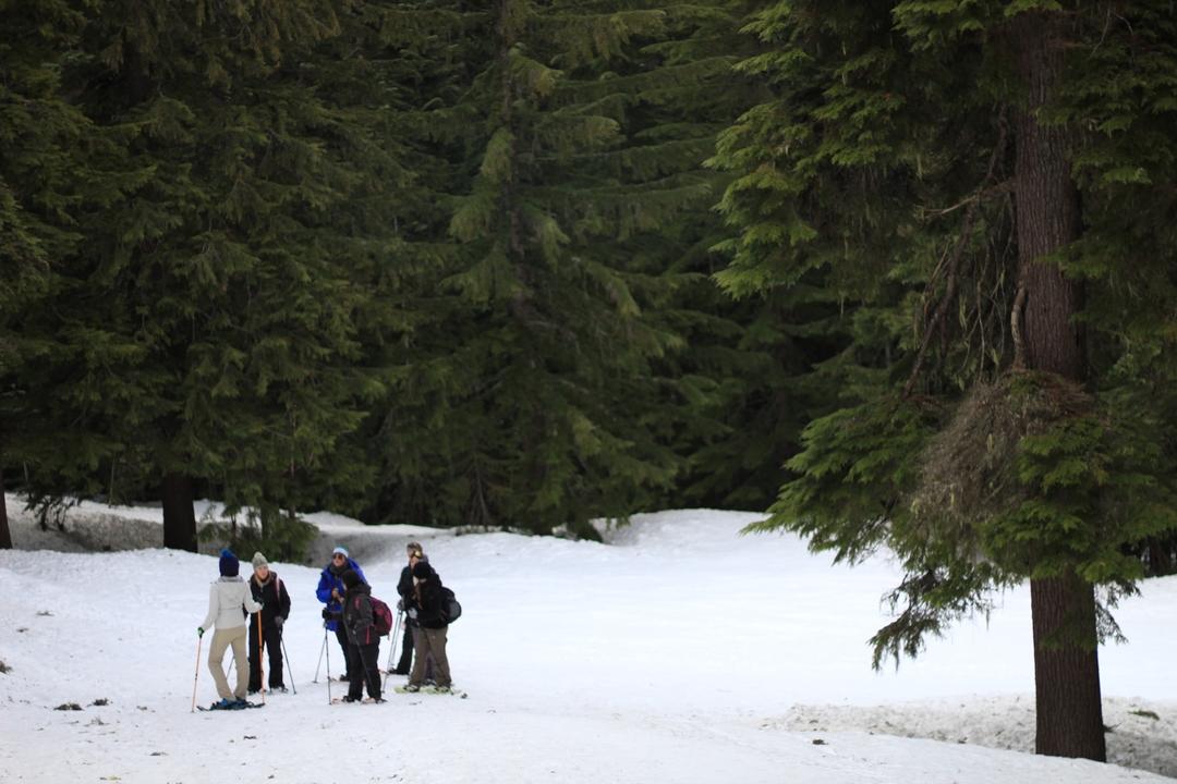 Un groupe de personnes dans une forêt enneigée.