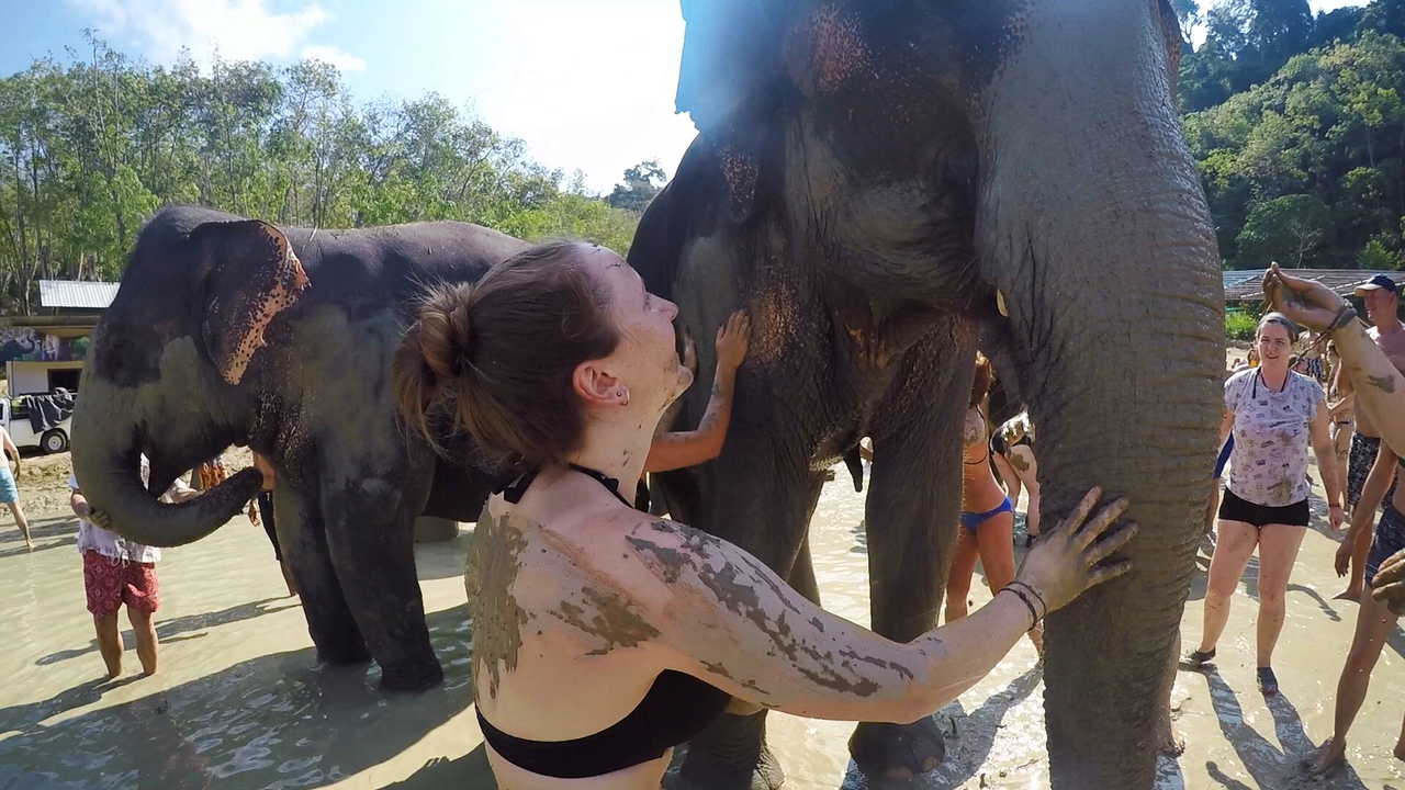 People interacting with elephants in a muddy area.